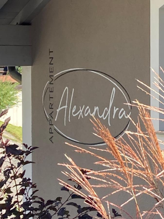 Appartement Alexandra นอยเคียร์เชน อัม โกรสเวเนดิเกอร์ ภายนอก รูปภาพ